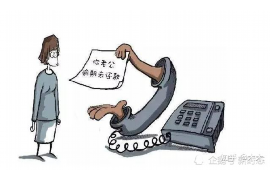 樊城清数公司排名前十名：揭秘行业佼佼者