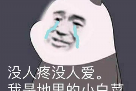 标题：社会王系列要账：揭秘债务催收行业的现状与挑战